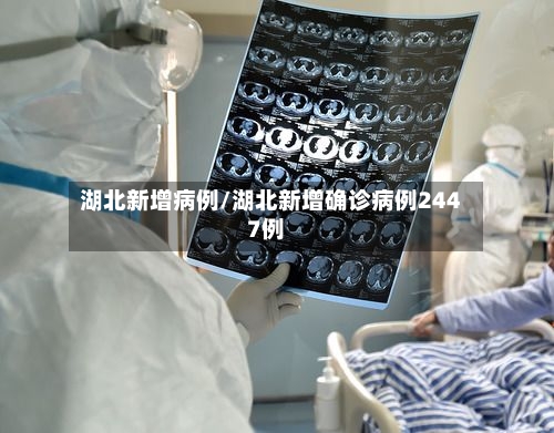 湖北新增病例/湖北新增确诊病例2447例
