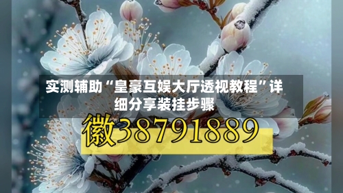 实测辅助“皇豪互娱大厅透视教程”详细分享装挂步骤