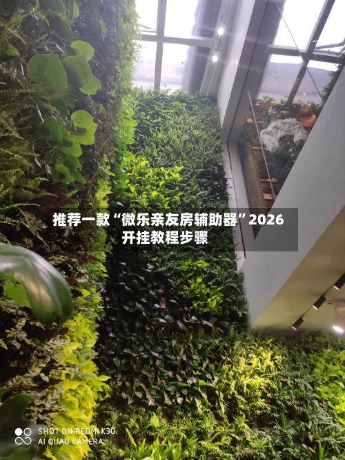 推荐一款“微乐亲友房辅助器”2026开挂教程步骤-第3张图片