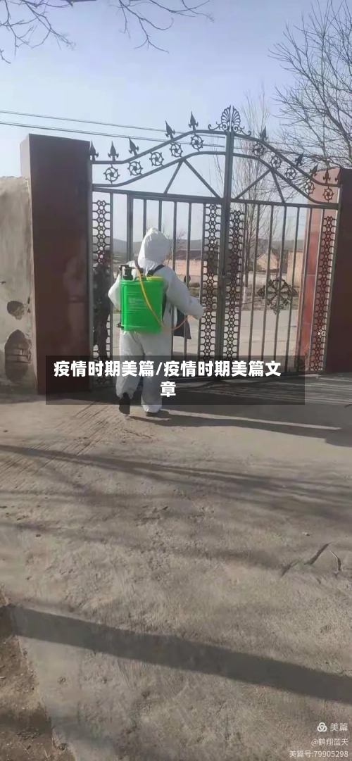 疫情时期美篇/疫情时期美篇文章