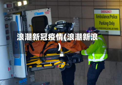 浪潮新冠疫情(浪潮新浪)
