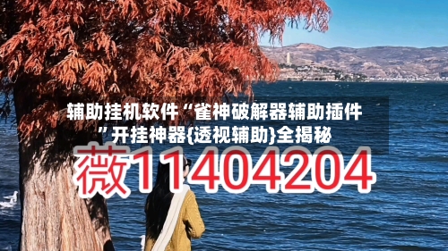 辅助挂机软件“雀神破解器辅助插件”开挂神器{透视辅助}全揭秘
