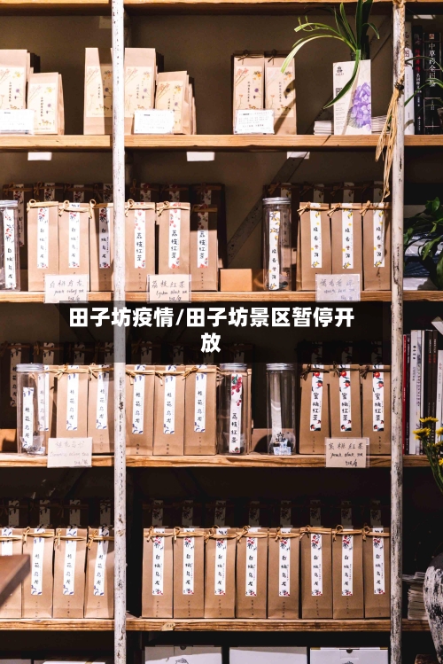 田子坊疫情/田子坊景区暂停开放
