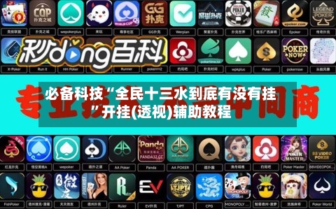 必备科技“全民十三水到底有没有挂”开挂(透视)辅助教程-第2张图片