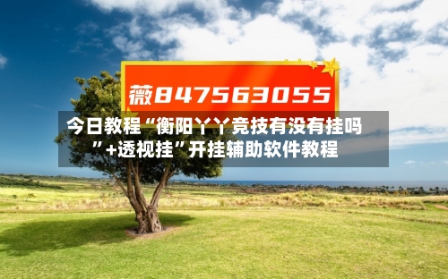 今日教程“衡阳丫丫竞技有没有挂吗”+透视挂”开挂辅助软件教程-第2张图片