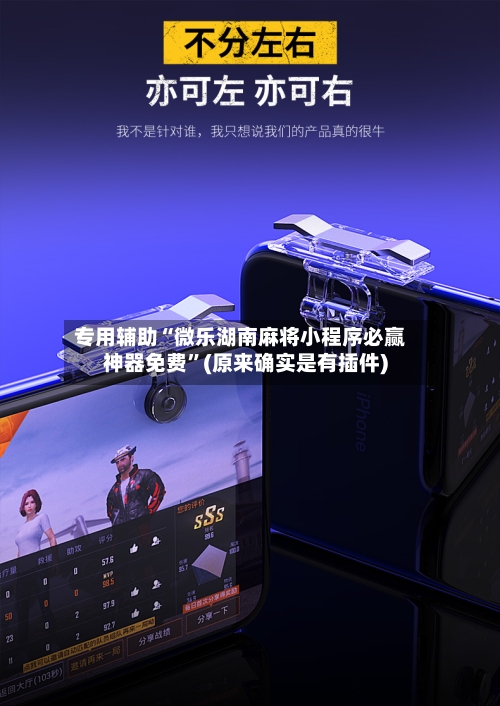 专用辅助“微乐湖南麻将小程序必赢神器免费	”(原来确实是有插件)-第2张图片