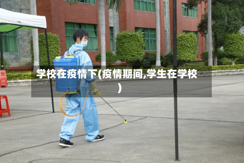 学校在疫情下(疫情期间,学生在学校)-第2张图片