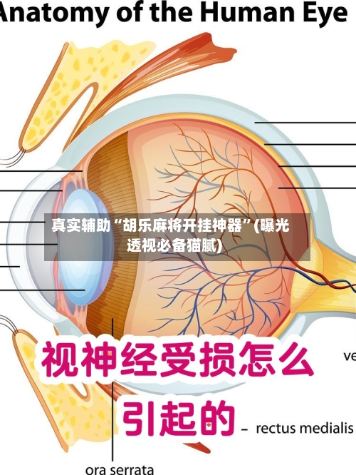 真实辅助“胡乐麻将开挂神器	”(曝光透视必备猫腻)-第3张图片