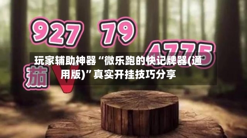 玩家辅助神器“微乐跑的快记牌器(通用版)”真实开挂技巧分享-第3张图片