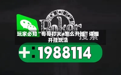 玩家必知“哥哥打大a怎么开挂”详细开挂玩法