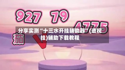 分享实测“十三水开挂辅助器	”(透视挂)辅助下载教程-第3张图片