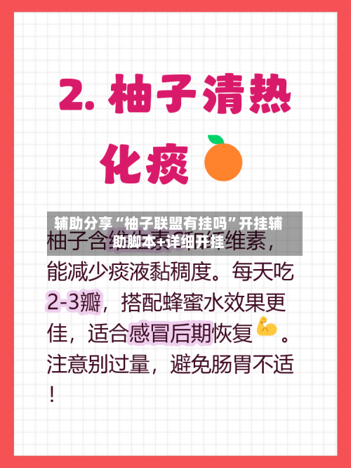 辅助分享“柚子联盟有挂吗”开挂辅助脚本+详细开挂-第2张图片