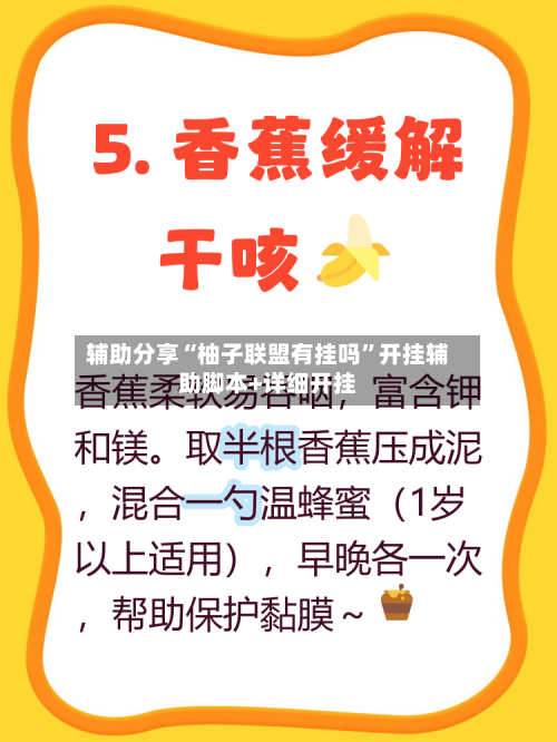 辅助分享“柚子联盟有挂吗	”开挂辅助脚本+详细开挂-第3张图片
