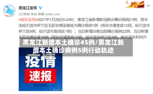 黑龙江新增本土确诊45例/黑龙江新增本土确诊病例5例行动轨迹-第2张图片