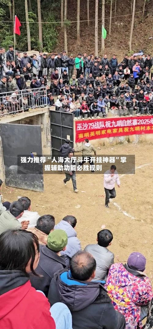 强力推荐“人海大厅斗牛开挂神器”掌握辅助功能必胜规则-第2张图片
