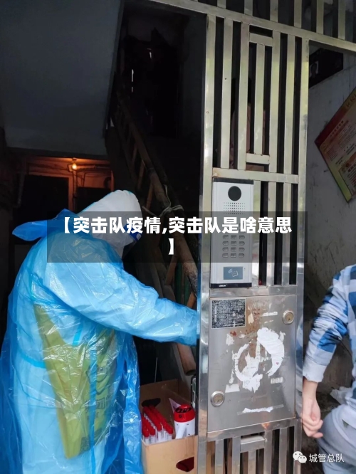 【突击队疫情,突击队是啥意思】