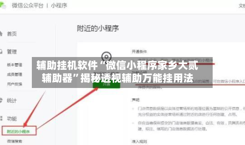 辅助挂机软件“微信小程序家乡大贰辅助器”揭秘透视辅助万能挂用法-第3张图片