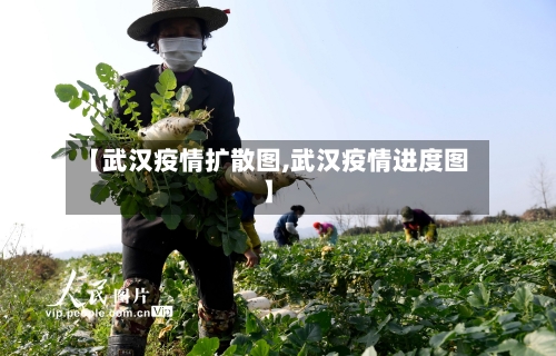 【武汉疫情扩散图,武汉疫情进度图】