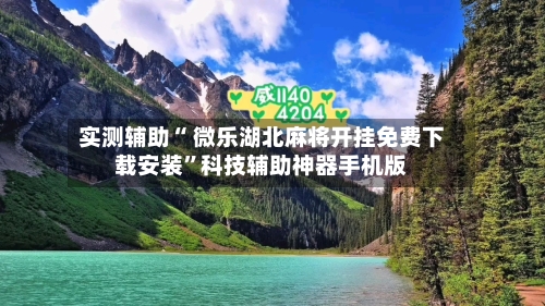 实测辅助“ 微乐湖北麻将开挂免费下载安装”科技辅助神器手机版-第2张图片