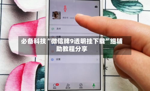 必备科技“微信牌9透明挂下载	”细辅助教程分享-第3张图片