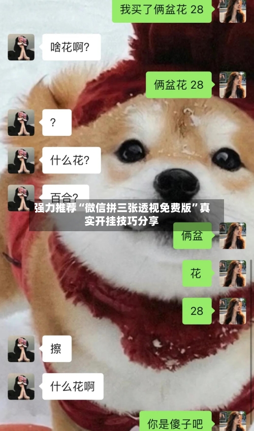 强力推荐“微信拼三张透视免费版”真实开挂技巧分享-第2张图片