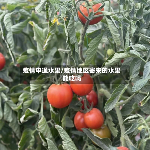 疫情申通水果/疫情地区寄来的水果能吃吗