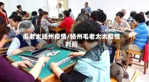 毛老太扬州疫情/扬州毛老太太疫情判刑-第3张图片