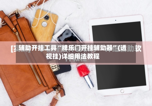 辅助开挂工具“牌乐门开挂辅助器”(透视挂)详细用法教程-第2张图片
