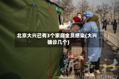 北京大兴已有3个家庭全员感染(大兴确诊几个)-第2张图片
