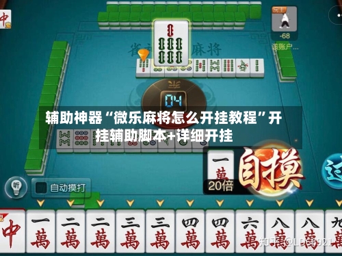辅助神器“微乐麻将怎么开挂教程”开挂辅助脚本+详细开挂-第3张图片