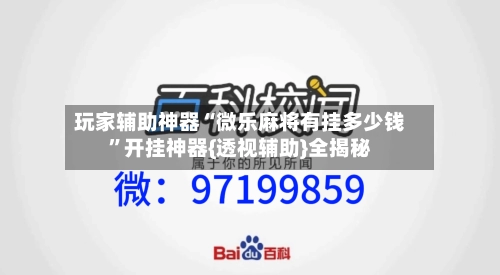 玩家辅助神器“微乐麻将有挂多少钱”开挂神器{透视辅助}全揭秘-第2张图片
