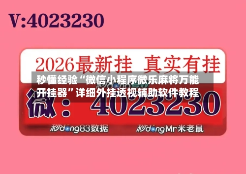秒懂经验“微信小程序微乐麻将万能开挂器”详细外挂透视辅助软件教程-第3张图片