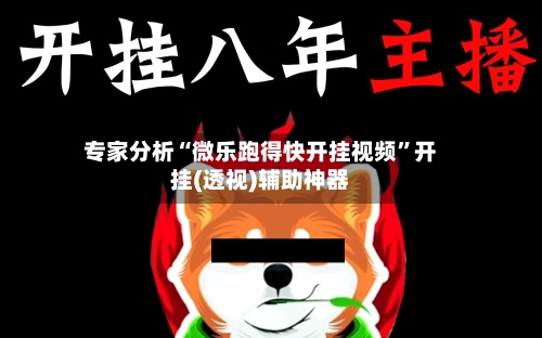 专家分析“微乐跑得快开挂视频”开挂(透视)辅助神器