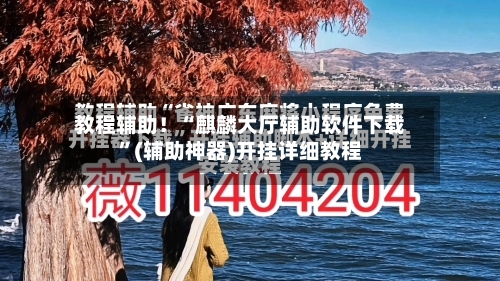 教程辅助！“麒麟大厅辅助软件下载	”(辅助神器)开挂详细教程-第2张图片