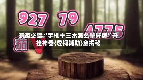玩家必读“手机十三水怎么拿好牌	”开挂神器{透视辅助}全揭秘-第2张图片
