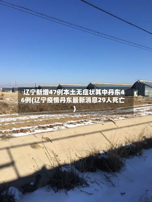 辽宁新增47例本土无症状其中丹东46例(辽宁疫情丹东最新消息29人死亡)