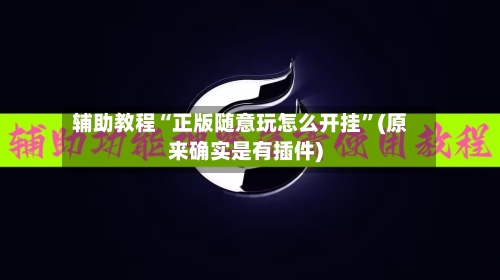 辅助教程“正版随意玩怎么开挂	”(原来确实是有插件)-第2张图片