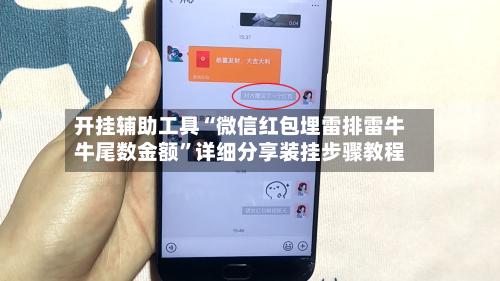 开挂辅助工具“微信红包埋雷排雷牛牛尾数金额”详细分享装挂步骤教程-第2张图片