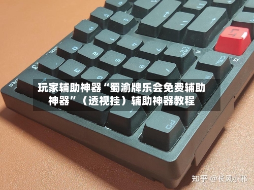 玩家辅助神器“蜀渝牌乐会免费辅助神器”（透视挂）辅助神器教程-第2张图片