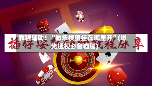 教程辅助！“微乐掼蛋挂在哪里开”(曝光透视必备猫腻)-第2张图片