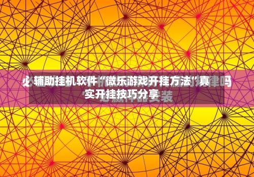 辅助挂机软件“微乐游戏开挂方法”真实开挂技巧分享-第2张图片
