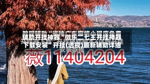 辅助开挂神器“微乐二七王开挂神器下载安装”开挂(透视)最新辅助详细-第2张图片