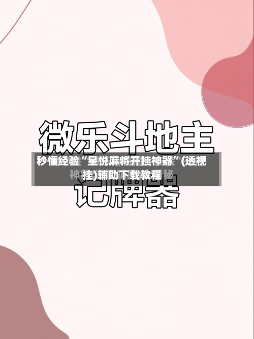 秒懂经验“星悦麻将开挂神器”(透视挂)辅助下载教程-第2张图片