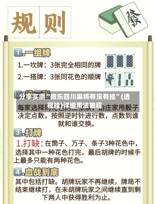 分享实测“微乐四川麻将有没有挂”(透视挂)详细用法教程-第3张图片