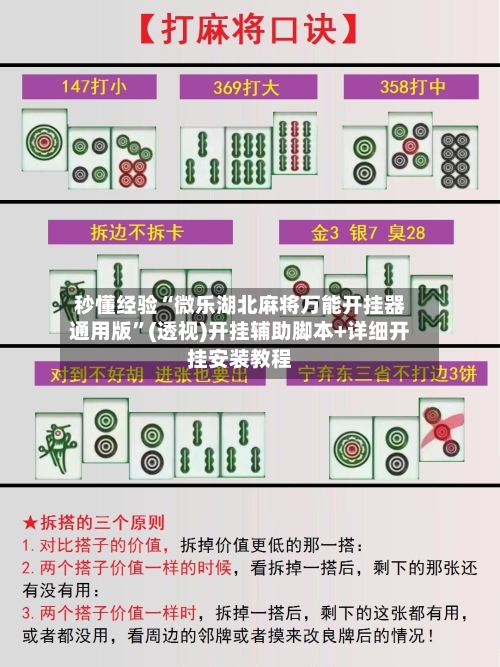 秒懂经验“微乐湖北麻将万能开挂器通用版”(透视)开挂辅助脚本+详细开挂安装教程