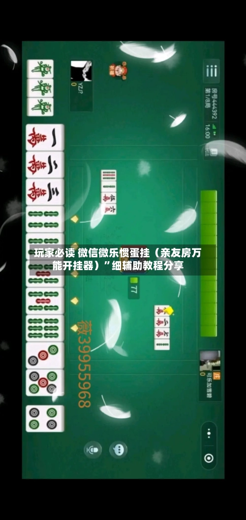 玩家必读 微信微乐惯蛋挂（亲友房万能开挂器）”细辅助教程分享-第3张图片