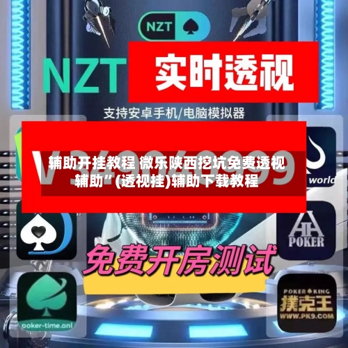 辅助开挂教程 微乐陕西挖坑免费透视辅助	”(透视挂)辅助下载教程-第2张图片