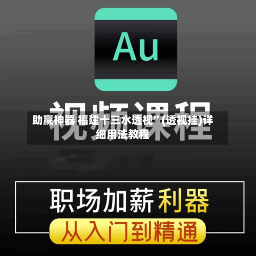 助赢神器 福建十三水透视”(透视挂)详细用法教程-第3张图片