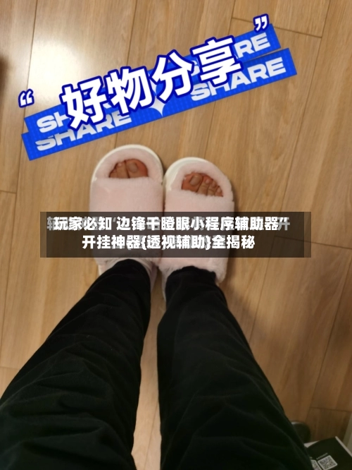 玩家必知 边锋干瞪眼小程序辅助器”开挂神器{透视辅助}全揭秘-第2张图片