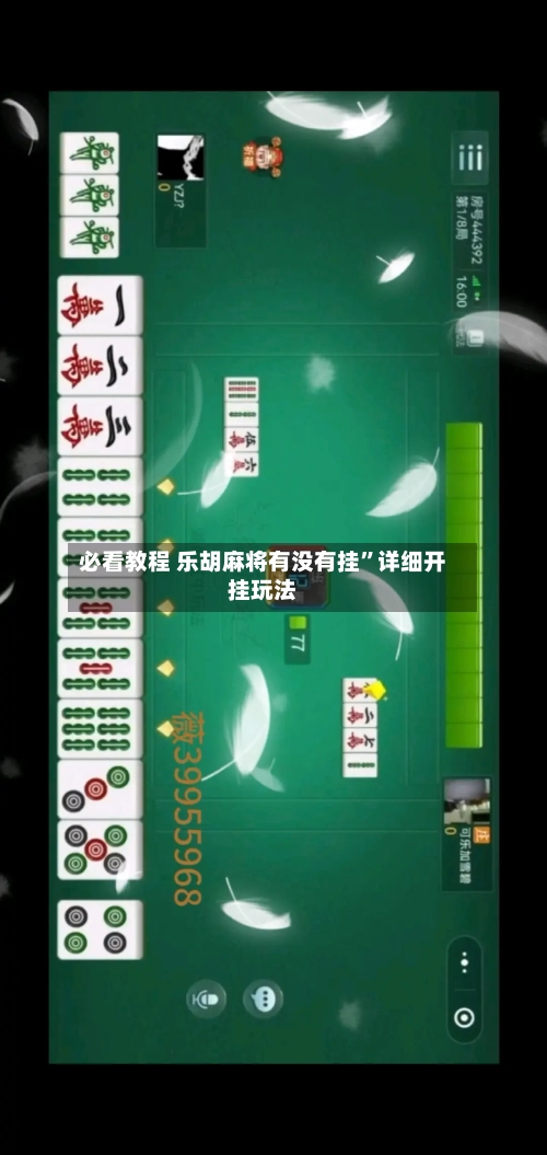 必看教程 乐胡麻将有没有挂”详细开挂玩法-第3张图片